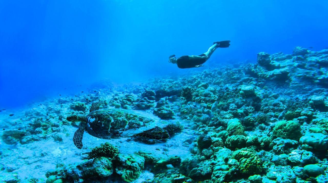 The Standard, Huruvalhi Maldives (Adults Only) Meedhoo  Esterno foto A free diver in the Red Sea